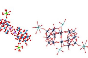 Different Polyoxometalate Structures Obtained from the-