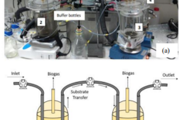 Biomethane Production Through Performance Enhancement of Anaerobic Digestion and Sludge Dewatering Processes in a Wastewater Treatment Plant