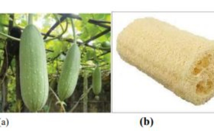 Comparing the Effect of Mercerisation, Acetylation and Oxidation on the Tensile Properties of Luffa Cylindrica Fibers