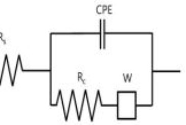 Corrosion Susceptibility of Blued Steel Reinforcement in Concrete by Electrochemical Impedance Spectroscopy