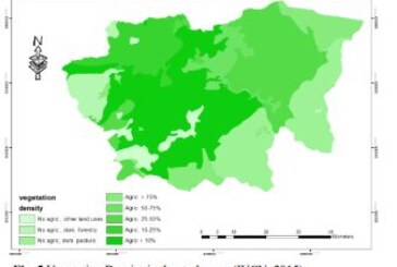 Mapping Flash Flood Potential and Risk Level Using GIS Techniques and the Flash Flood Potential Index (FFPI) in Amman Zarqa Basin of Jordan
