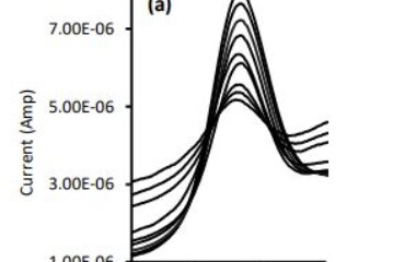 Differential Pulse Voltammetry as an Alternative Method for Tracking Hydrochlorothiazide Electrolytic Degradation