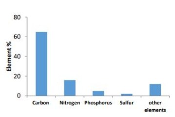 Evaluation of Physical and Chemical Properties of Poultry Sludge and its Suitability for Reuse in Agricultural and Non-Agricultural Applications