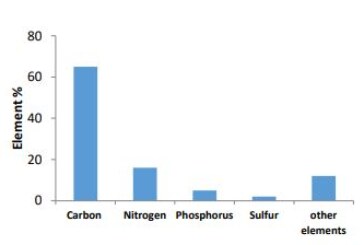 Evaluation of Physical and Chemical Properties of Poultry Sludge and its Suitability for Reuse in Agricultural and Non-Agricultural Applications