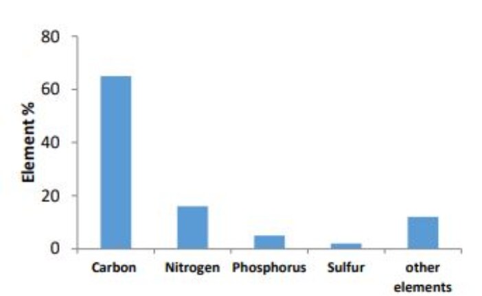 Evaluation of Physical and Chemical Properties of Poultry Sludge and its Suitability for Reuse in Agricultural and Non-Agricultural Applications