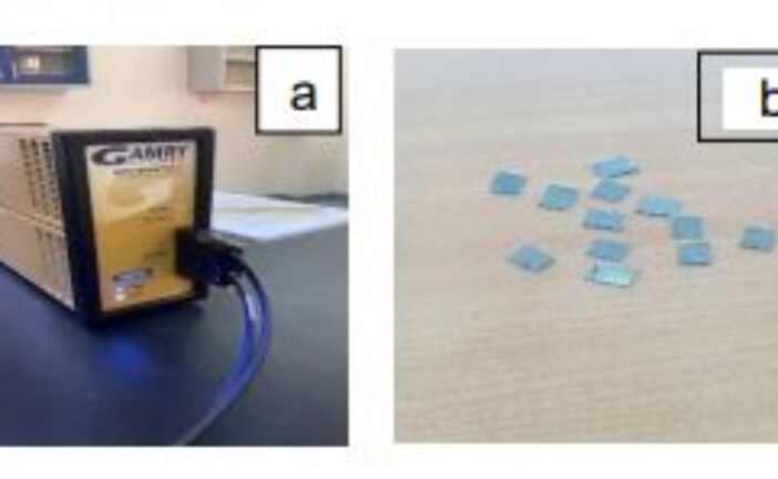 Date Seed Extract as Green Corrosion Inhibitor for Steel in Hydrochloric Medium