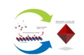 Atomistic Thermodynamics of Water over Actinide Oxide  Surfaces: Implications on Stabilities and Morphologies