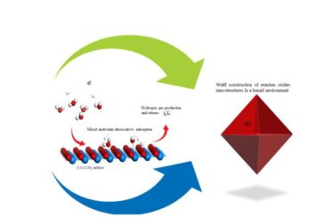 Atomistic Thermodynamics of Water over Actinide Oxide  Surfaces: Implications on Stabilities and Morphologies