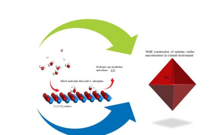 Atomistic Thermodynamics of Water over Actinide Oxide  Surfaces: Implications on Stabilities and Morphologies