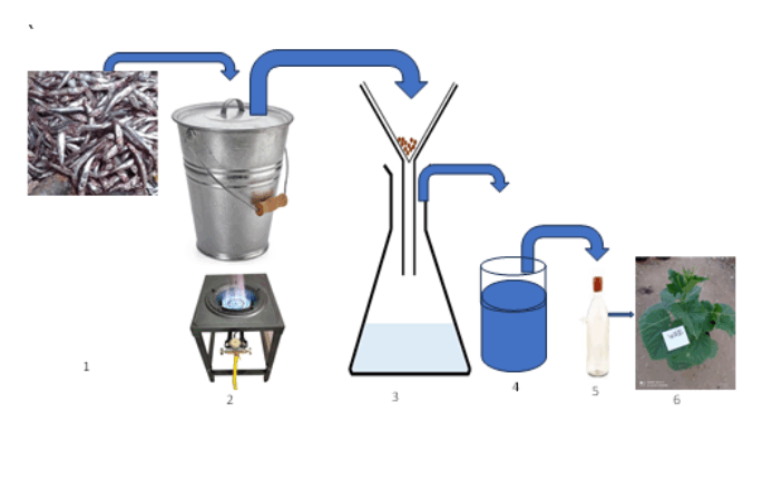 Fast Method for Organic-NPK Preparation