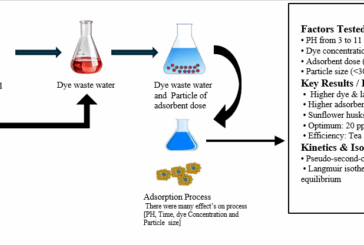 Comparative Study of Congo Red Dye Removal Using Sunflower Husk and Spent Tea Leaves