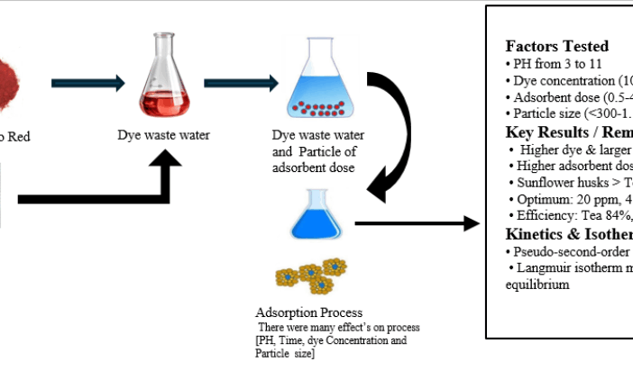 Comparative Study of Congo Red Dye Removal Using Sunflower Husk and Spent Tea Leaves