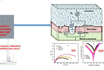 Influence of Bauhinia tomentosa Stem Bark Extract on the Electrochemical Behavior of Low-Carbon Steel in 1 M HCl