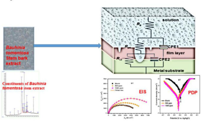 Influence of Bauhinia tomentosa Stem Bark Extract on the Electrochemical Behavior of Low-Carbon Steel in 1 M HCl
