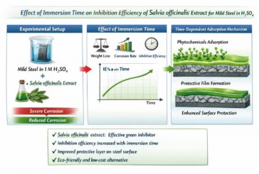 Effect of Immersion Time on the Corrosion Behavior of Mild Steel in Sulfuric Acid with Salvia officinalis Inhibitor