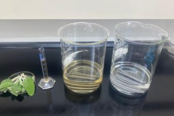 Thermodynamic and Adsorption Studies of Salvia Officinalis as A Green Corrosion Inhibitor for Steel at 1 M Sulfuric Acid