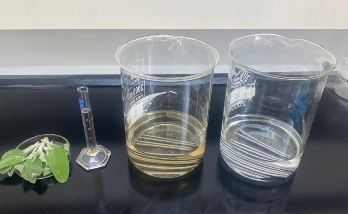 Thermodynamic and Adsorption Studies of Salvia Officinalis as A Green Corrosion Inhibitor for Steel at 1 M Sulfuric Acid