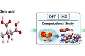 CO2 Capture Using a Citric Acid and N Methylmorpholine Deep Eutectic Solvent: A Computational Study