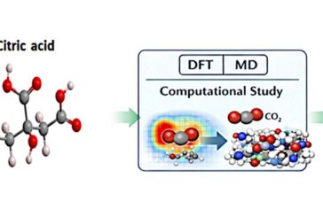 CO2 Capture Using a Citric Acid and N Methylmorpholine Deep Eutectic Solvent: A Computational Study