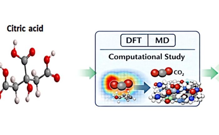 CO2 Capture Using a Citric Acid and N Methylmorpholine Deep Eutectic Solvent: A Computational Study